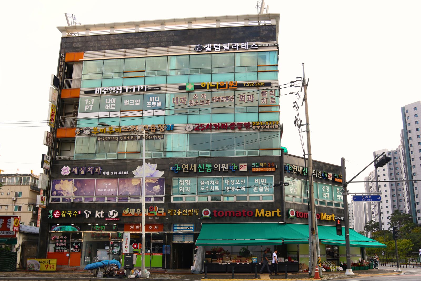 전신 순환 및 부종 케어