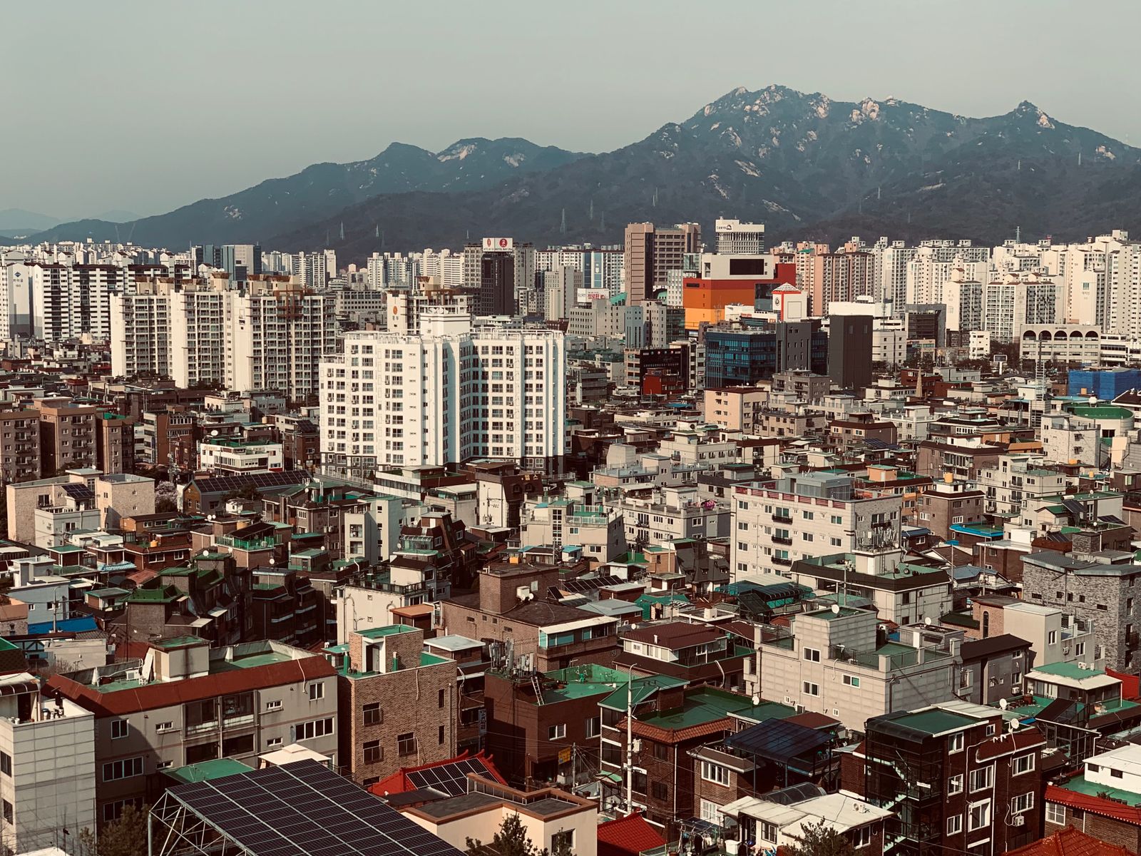림프부종 1